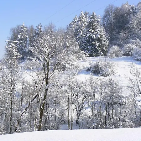 Auberge Camelia