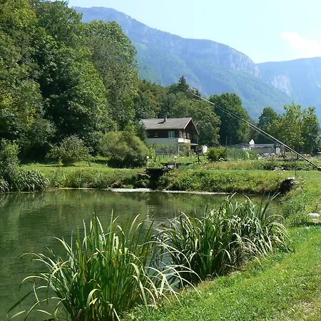 Auberge Camelia Hotel